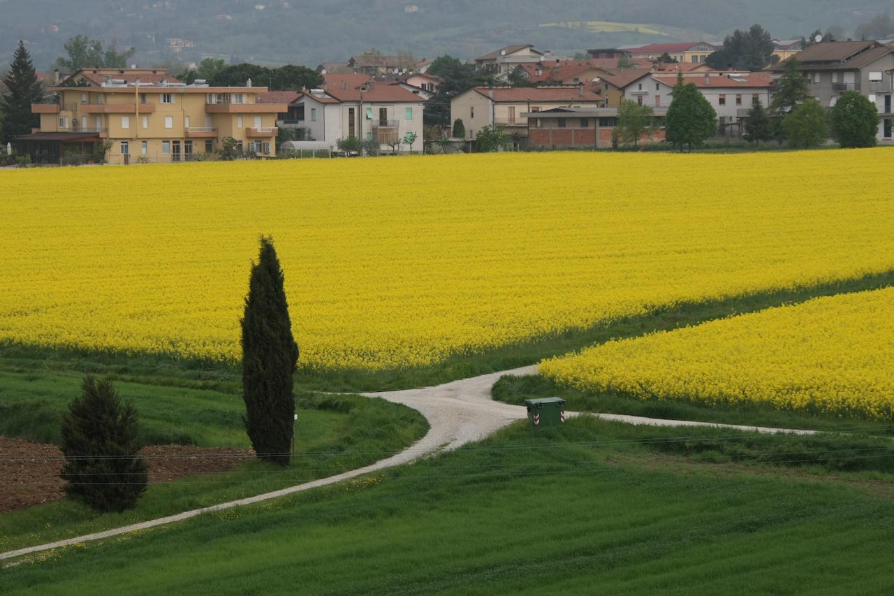 Palazzo Santinelli Bed and Breakfast SantʼAngelo in Vado Buitenkant foto